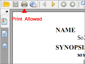 Print PDF allowed