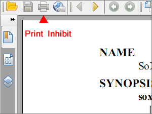 Printing PDF prevented